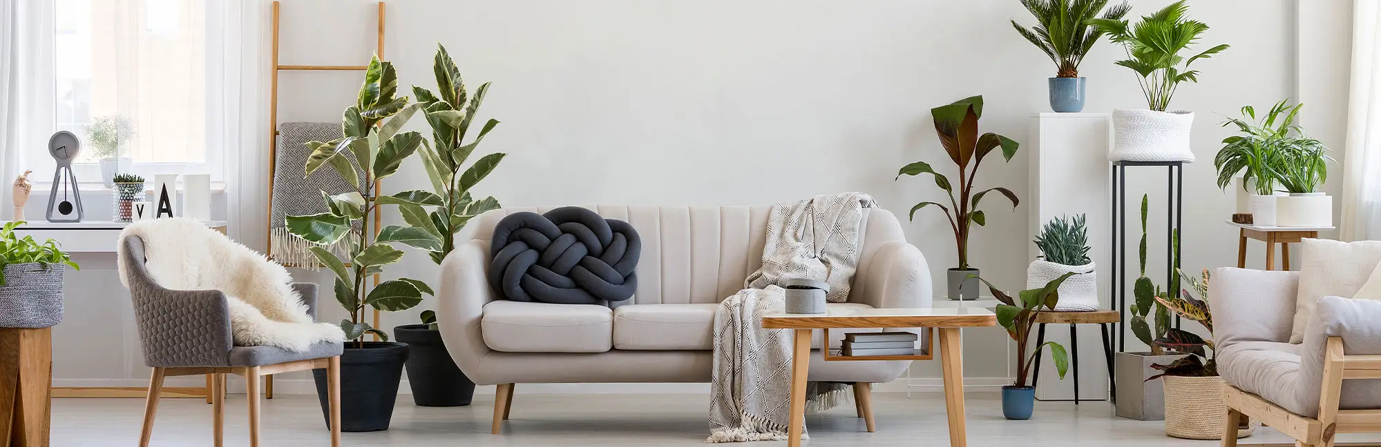 Responsive Banner Image